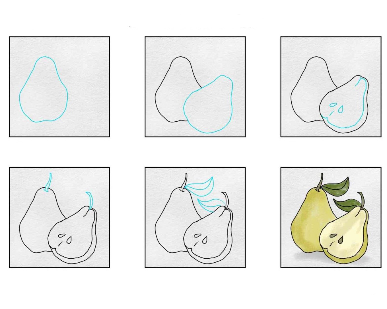 How to draw The pear is cut