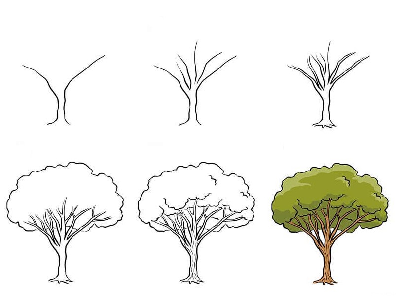 Tree idea (1) Drawing Ideas