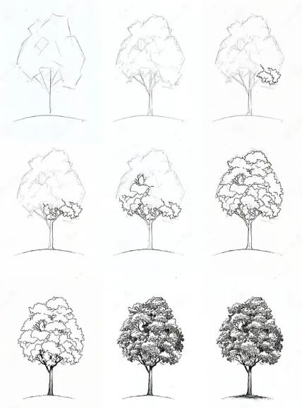 Tree idea (14) Drawing Ideas
