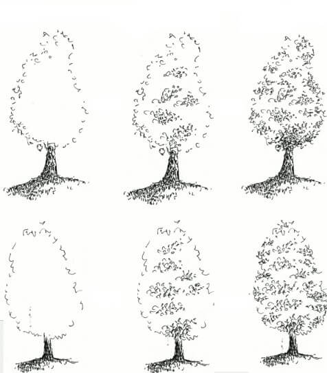 How to draw Tree idea (4)