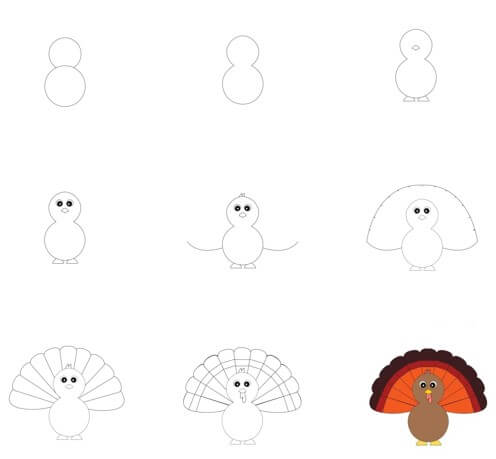 How to draw Turkey for kid (1)