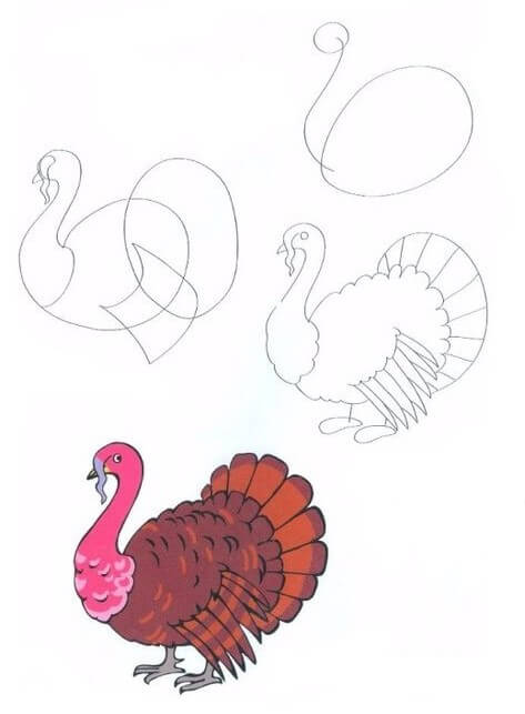 How to draw Turkey idea (17)