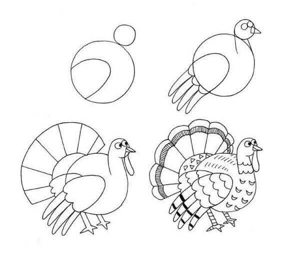 How to draw Turkey idea (18)