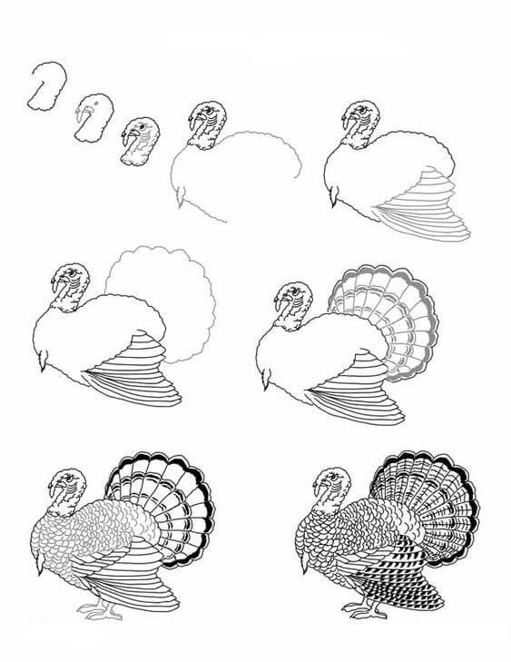 How to draw Turkey idea (2)