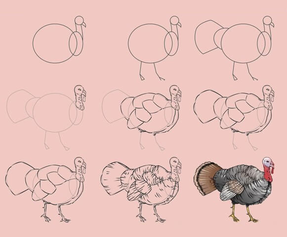 How to draw Turkey idea (24)