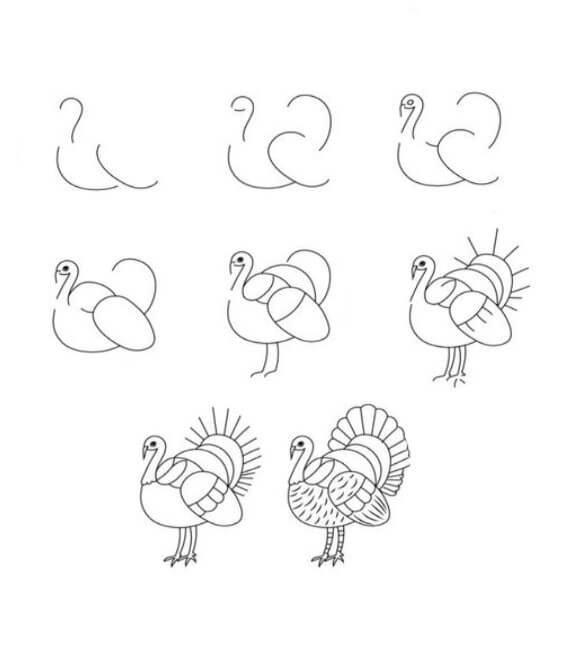 How to draw Turkey idea (3)
