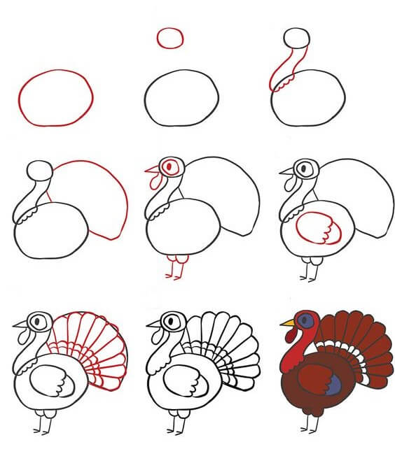 How to draw Turkey idea (5)