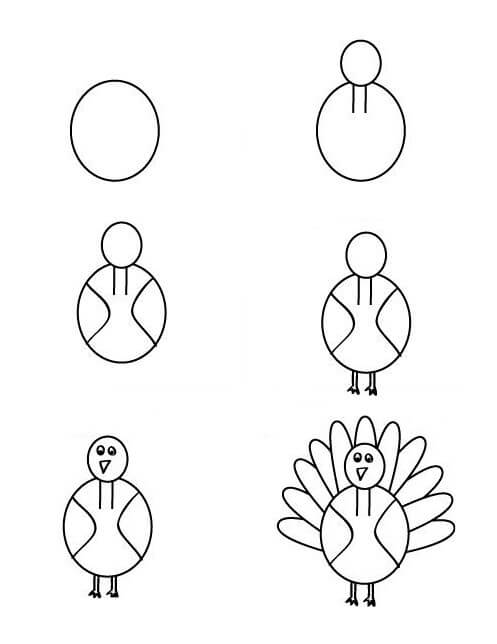 How to draw Turkey idea (8)