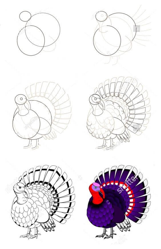 How to draw Turkey idea (9)