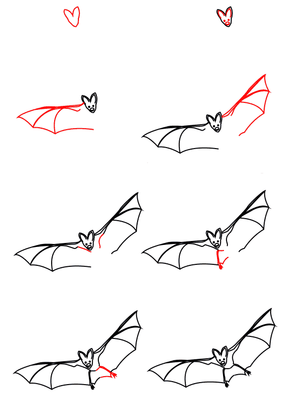 Vampire bat Drawing Ideas