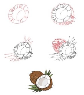 Wax coconut Drawing Ideas