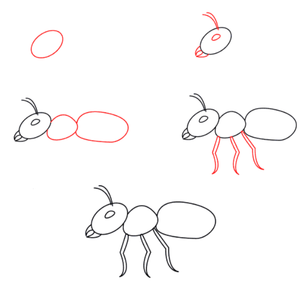 How to draw Worker ants (2)