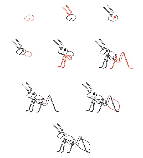 How to draw Worker ants