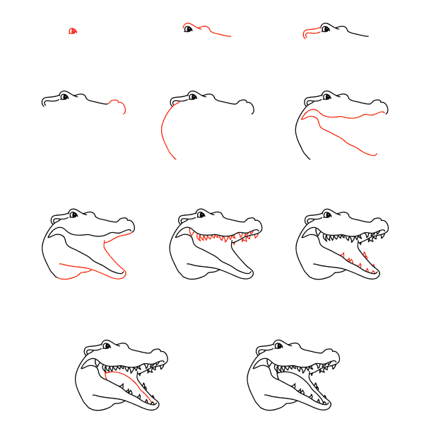 Alligator face Drawing Ideas