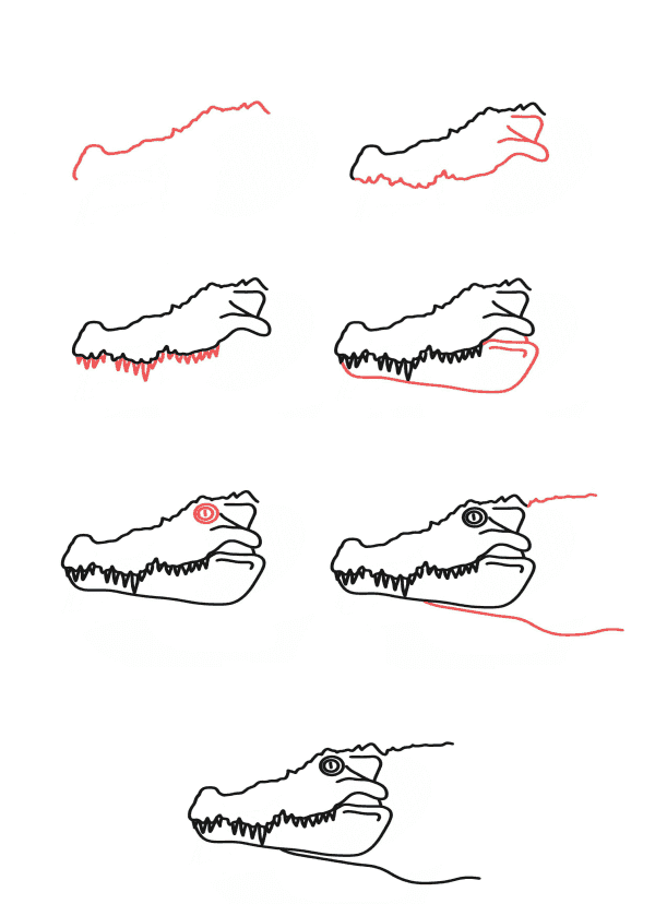 Alligator head Drawing Ideas