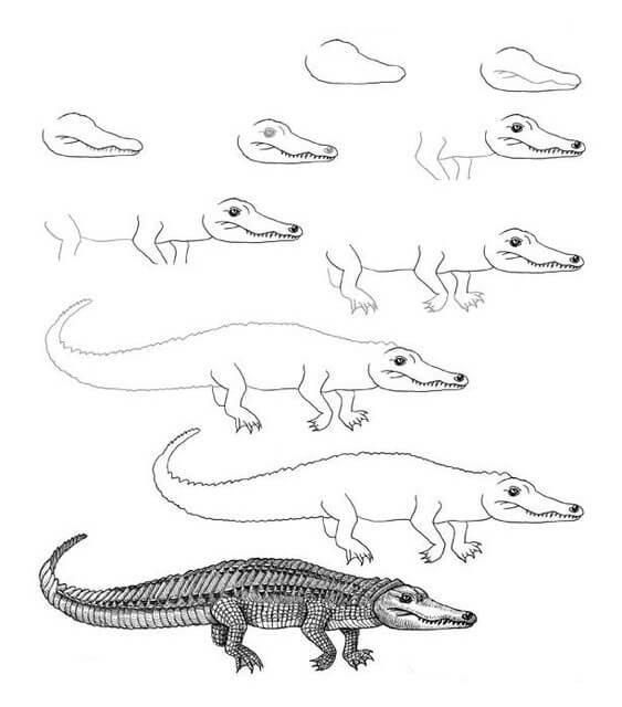 Alligator idea (35) Drawing Ideas
