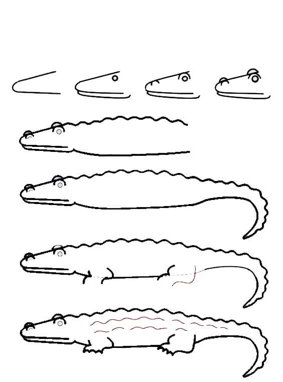 Alligator idea (38) Drawing Ideas