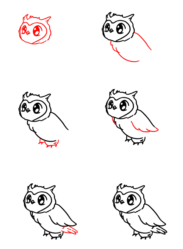 Baby owl Drawing Ideas