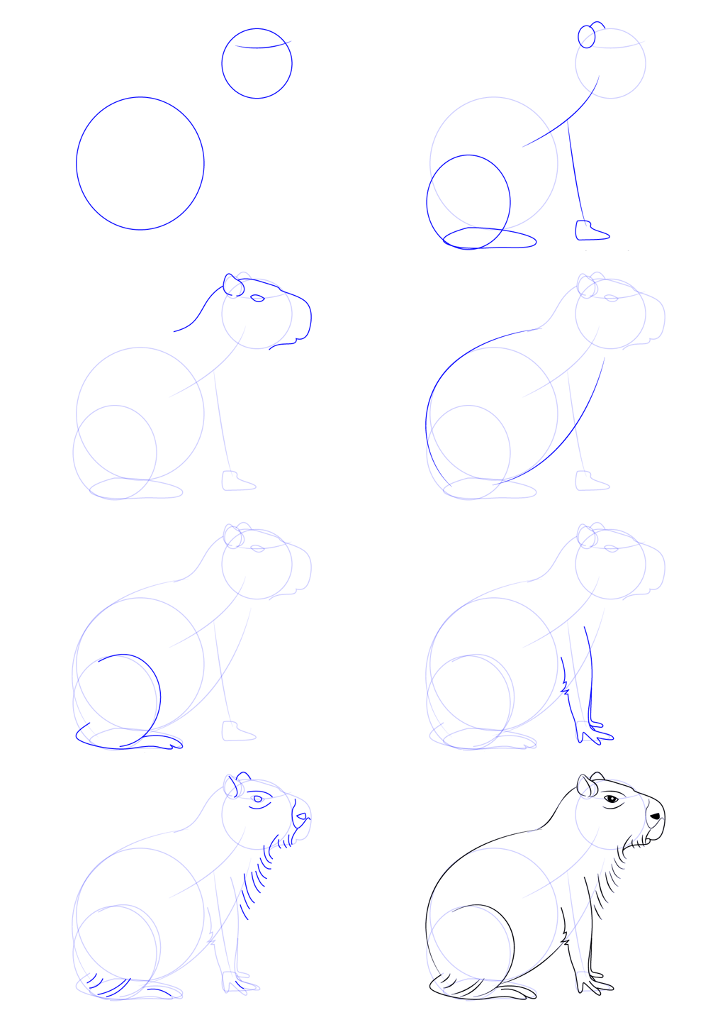 Capybara drawing simple (3) Drawing Ideas