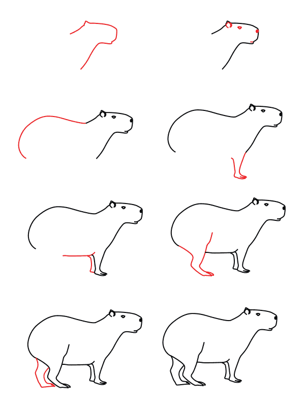 Capybara for kid Drawing Ideas