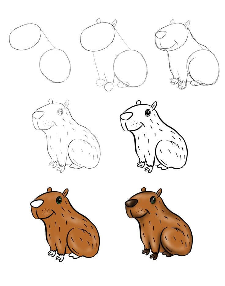 Capybara idea (1) Drawing Ideas
