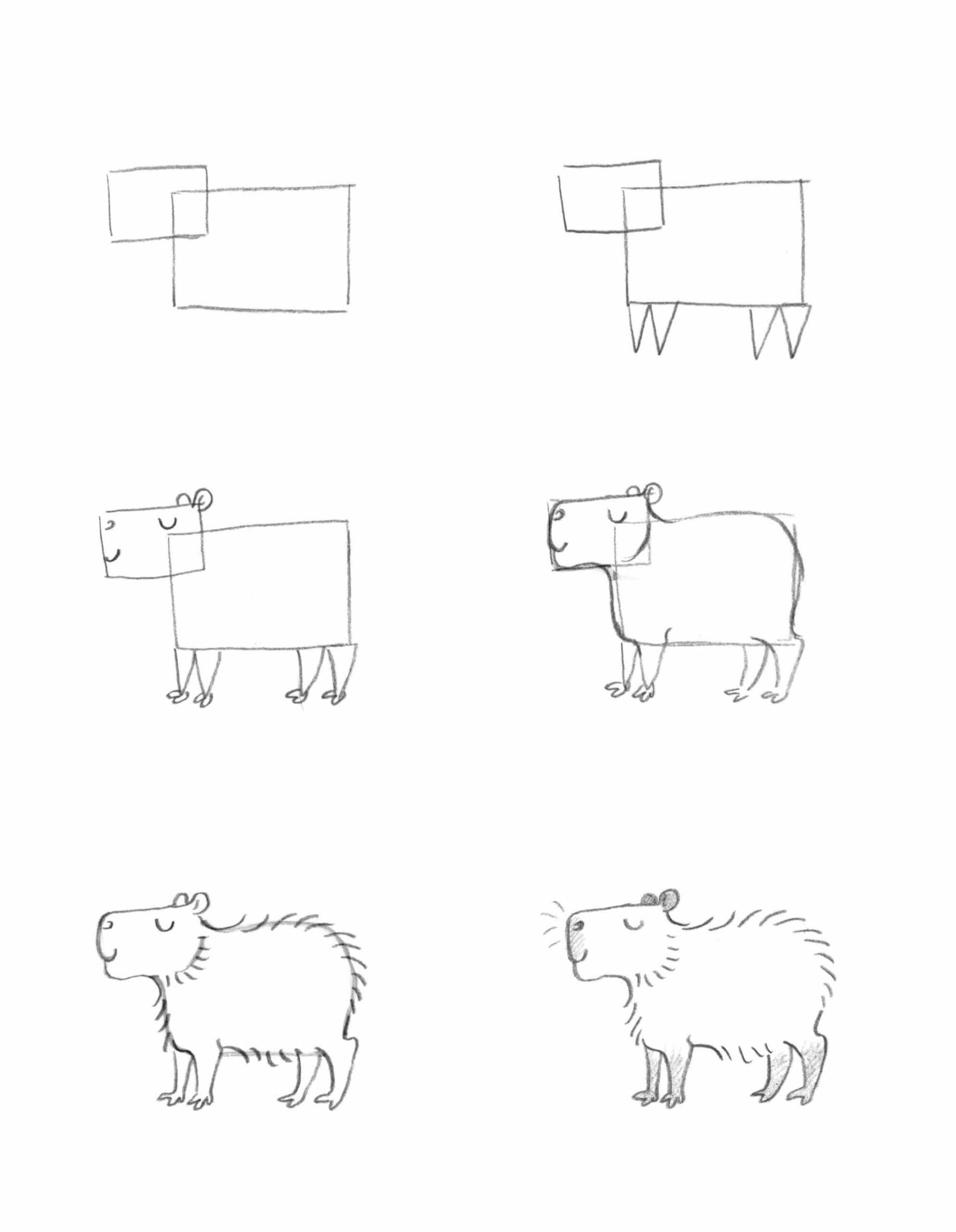 Capybara idea (10) Drawing Ideas