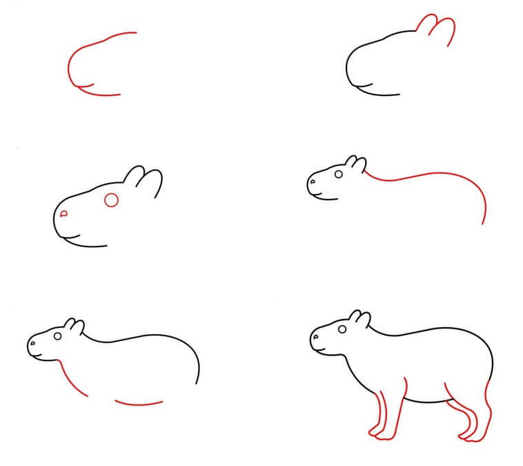 Capybara idea (13) Drawing Ideas