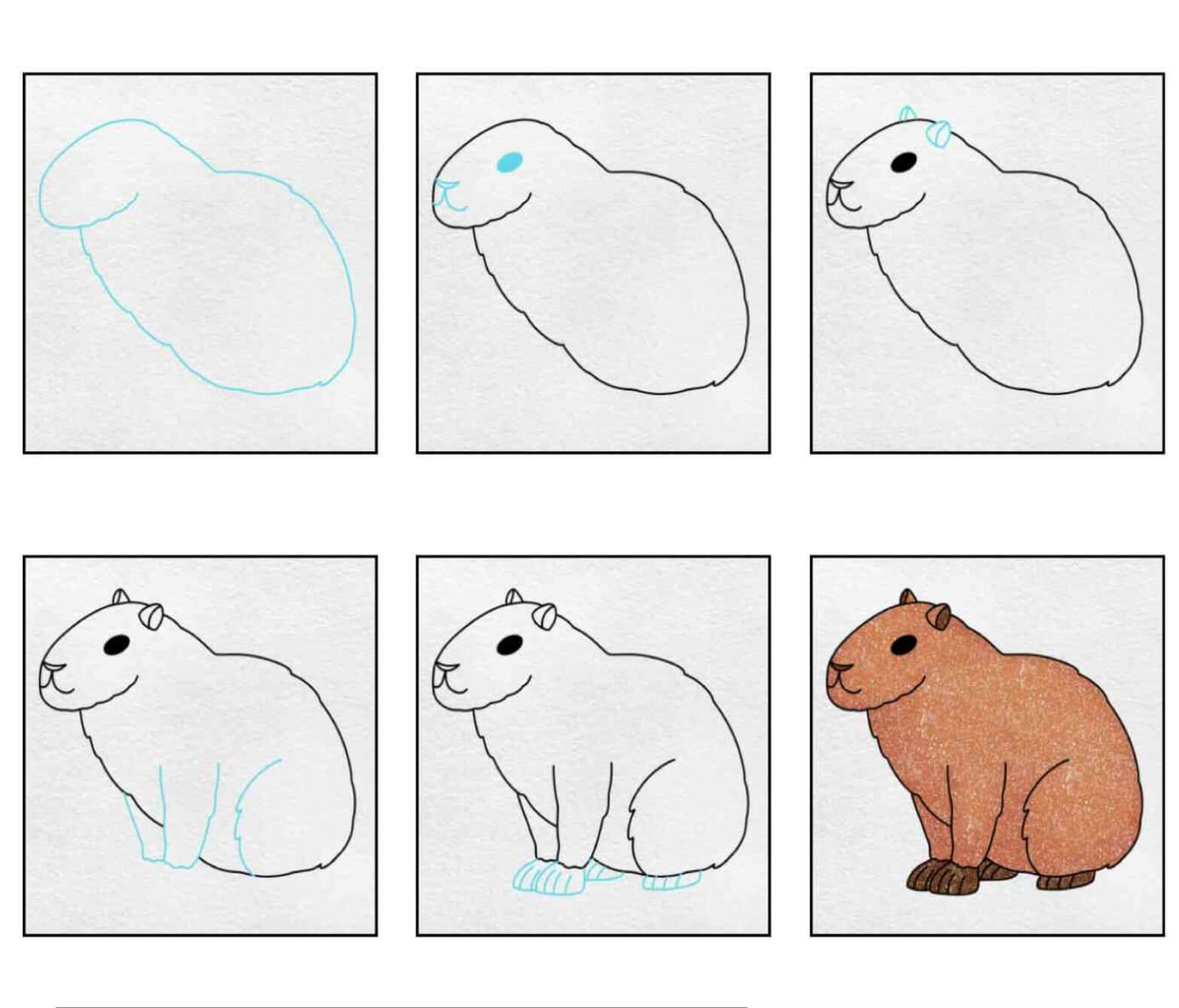 Capybara idea (6) Drawing Ideas