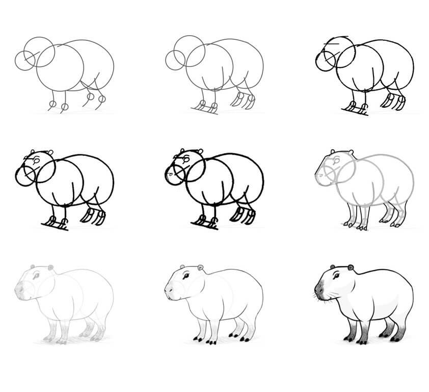 Capybara idea (8) Drawing Ideas