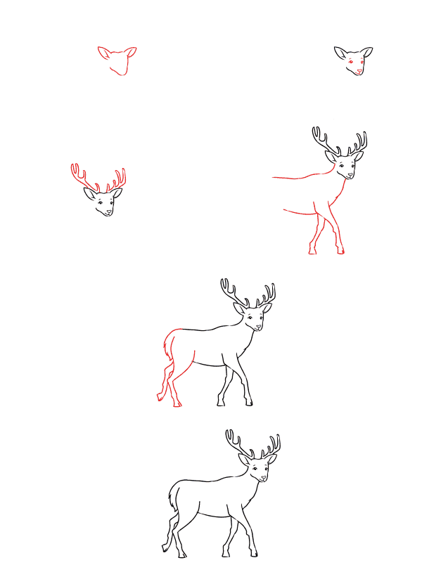 Cartoon deer (4) Drawing Ideas