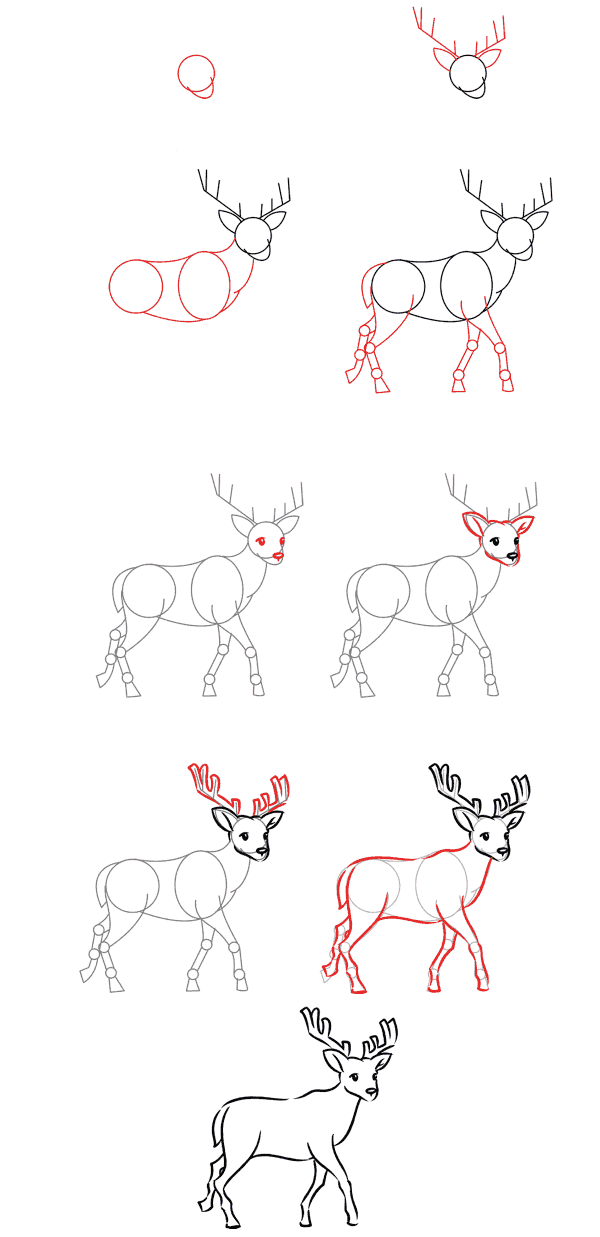 Cartoon deer (5) Drawing Ideas