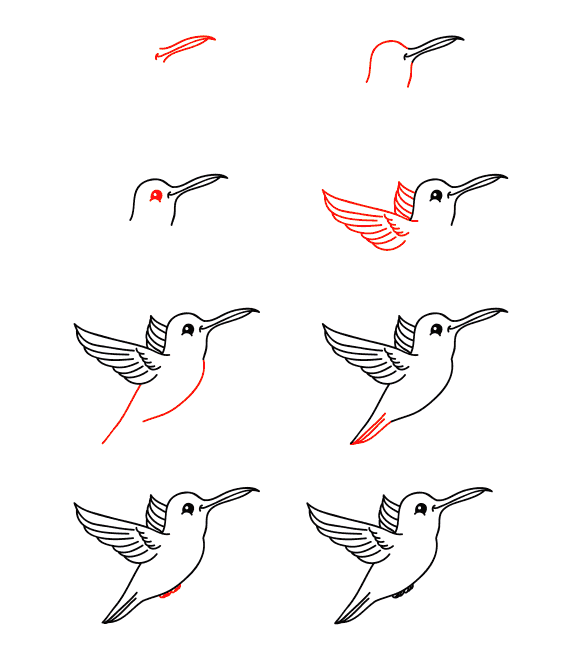 Cartoon hummingbird Drawing Ideas