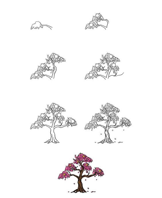 Cherry blossom tree Drawing Ideas