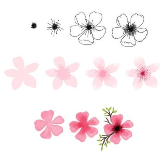 Cherry blossom petals (2) Drawing Ideas