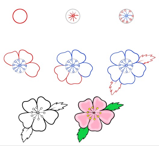Cherry blossom petals (3) Drawing Ideas