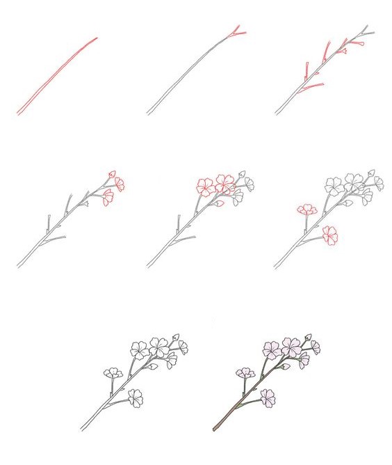 Cherry blossoms idea (10) Drawing Ideas