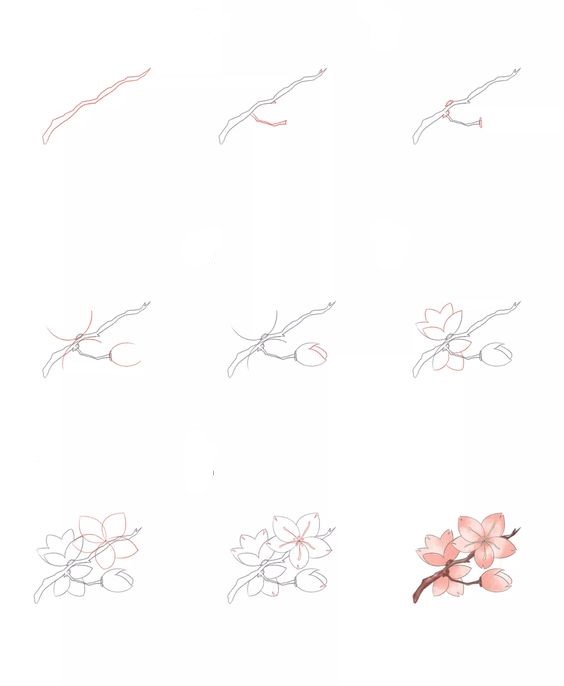 Cherry blossoms idea (11) Drawing Ideas
