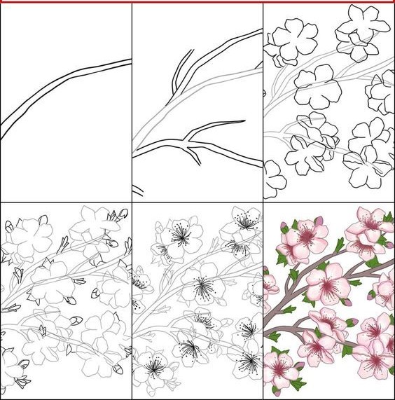 Cherry blossoms idea (12) Drawing Ideas