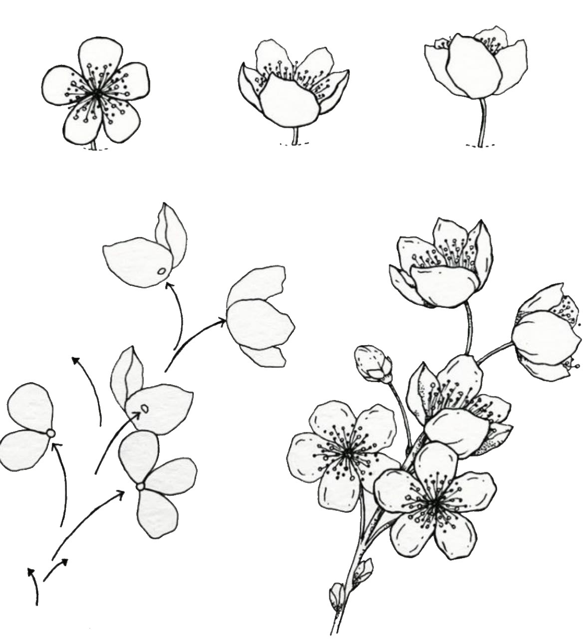 Cherry blossoms idea (13) Drawing Ideas