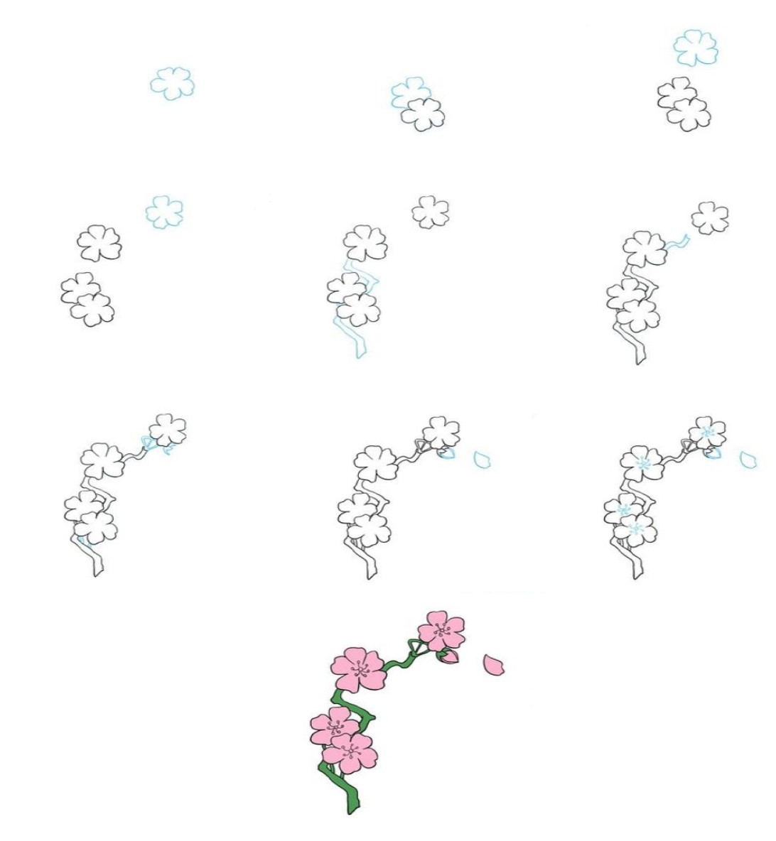 Cherry blossoms idea (3) Drawing Ideas