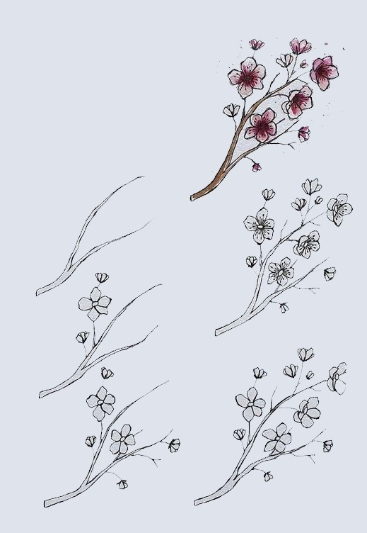 Cherry blossoms idea (5) Drawing Ideas