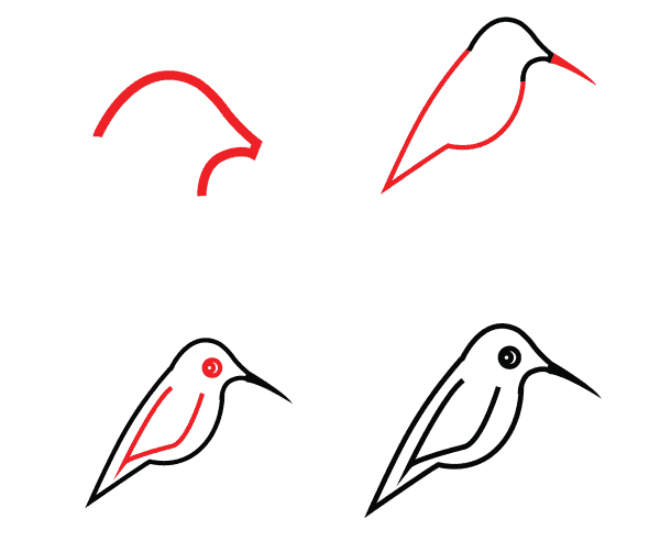 Cute hummingbird Drawing Ideas
