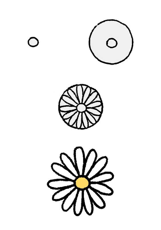 Daisy flower idea (1) Drawing Ideas