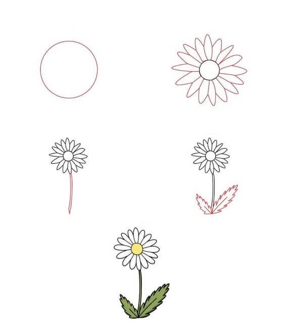 Daisy flower idea (10) Drawing Ideas