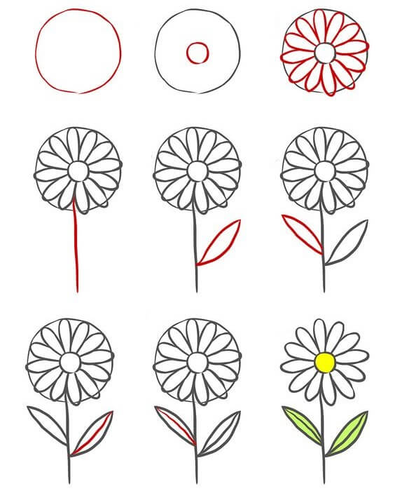 Daisy flower idea (11) Drawing Ideas