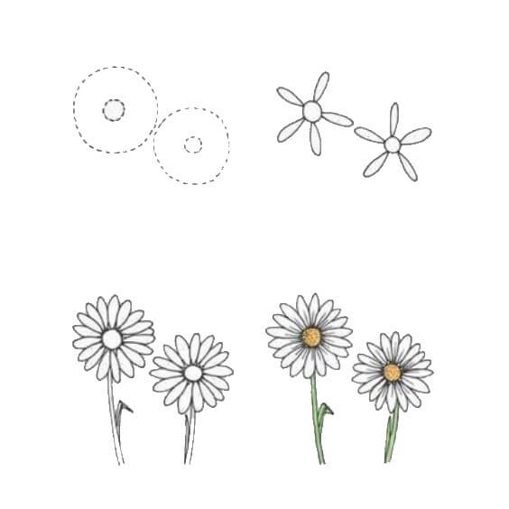 Daisy flower idea (13) Drawing Ideas