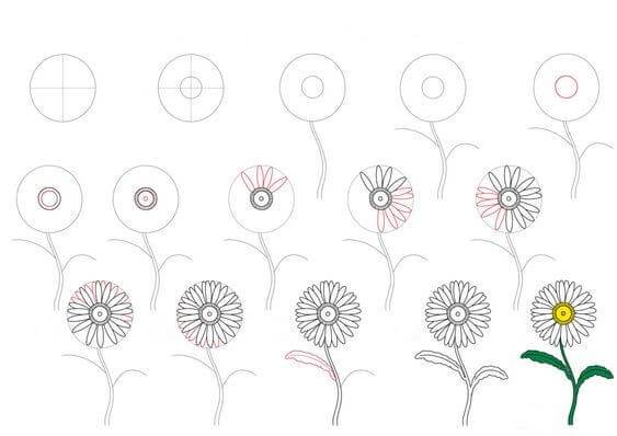 Daisy flower idea (14) Drawing Ideas