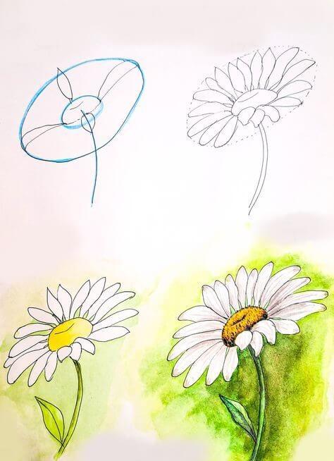Daisy flower idea (15) Drawing Ideas