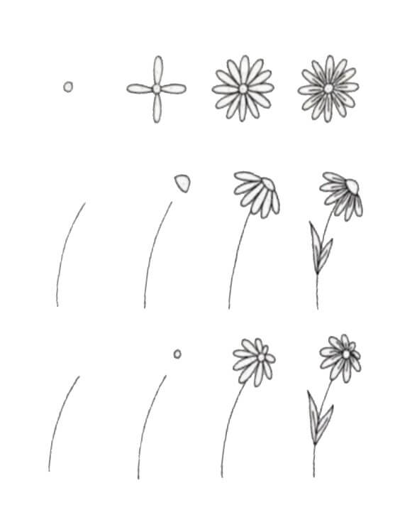 Daisy flower idea (16) Drawing Ideas