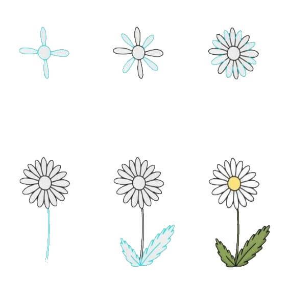 Daisy flower idea (18) Drawing Ideas